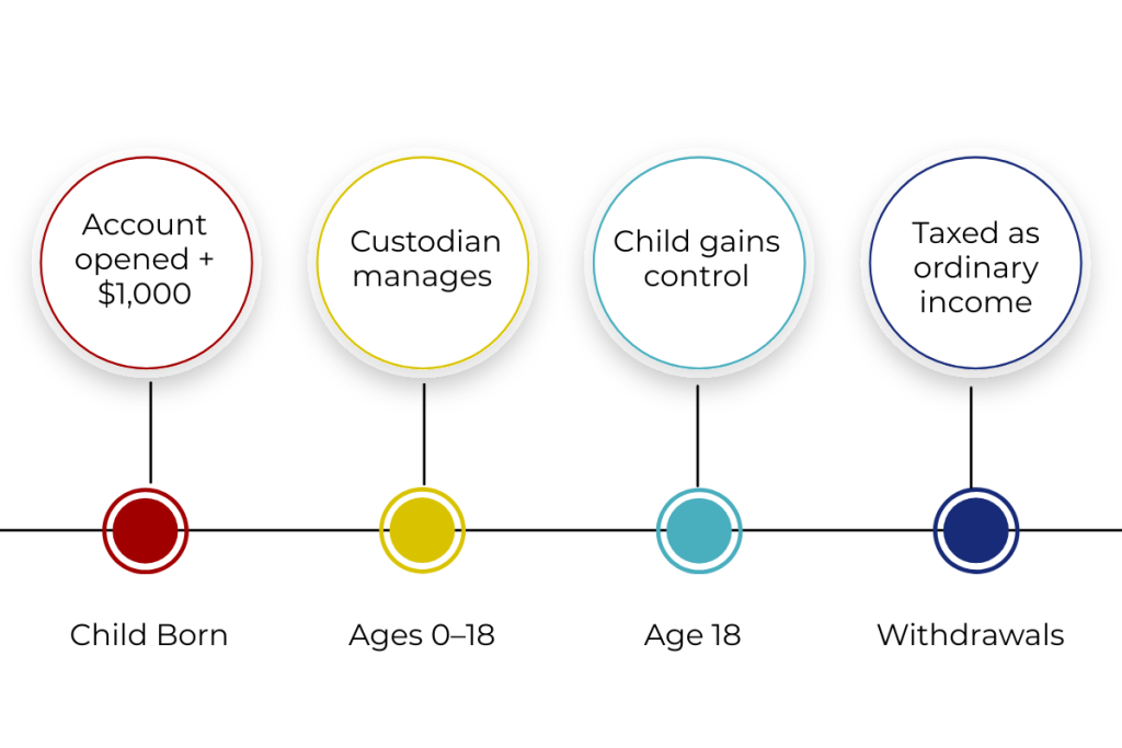 trump accounts timelines for managing